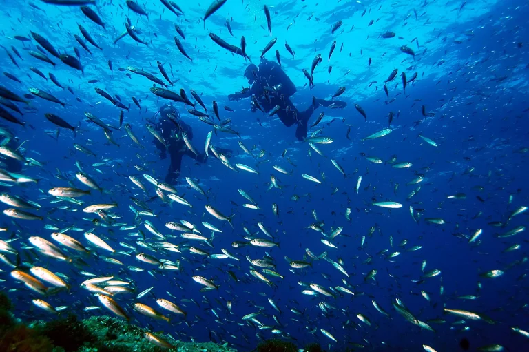 Adventure Divers & Centro de Actividades