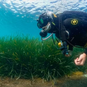 Bautismo de Buceo en Cabo Tiñoso