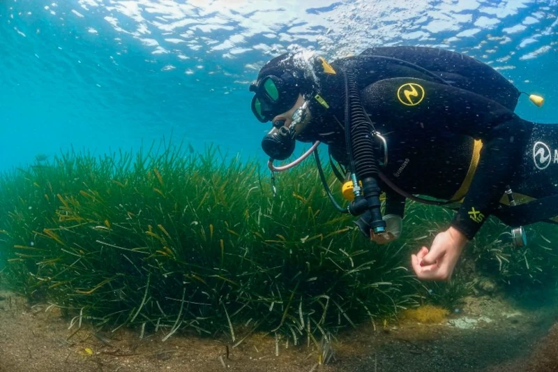 Bautismo de Buceo en Cabo Tiñoso
