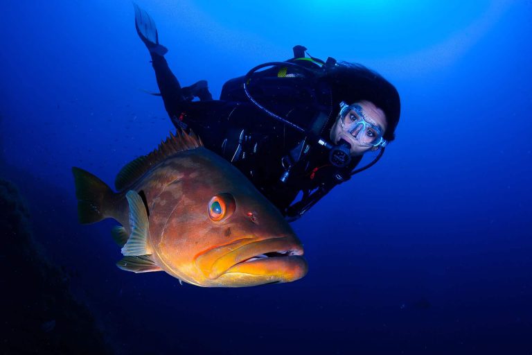 Scuba Murcia
