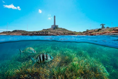 Cabo de Palos Cabo de Palos