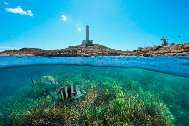Cabo de Palos