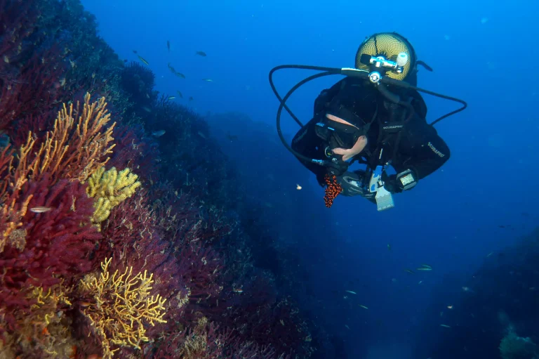 Mangamar Dive Center