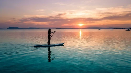 Paddle Surf