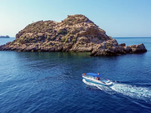 Paseos en Barco