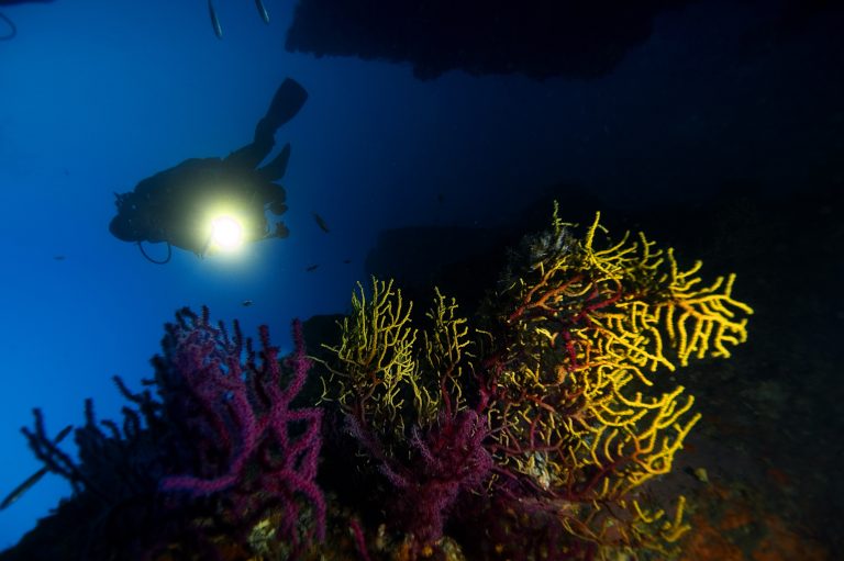 Planeta Azul