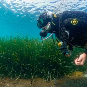 Excursión de snorkel en la Reserva Marina de Cabo Tiñoso