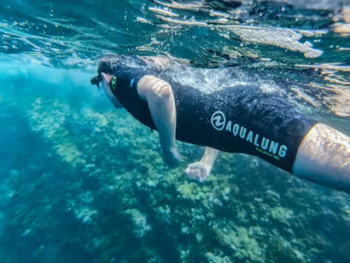 Snorkel
